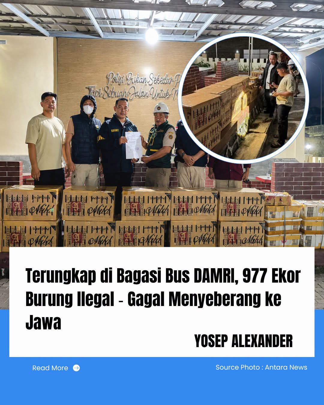 Penyelundupan Burung di Begasi Bus Berhasil Digagalkan